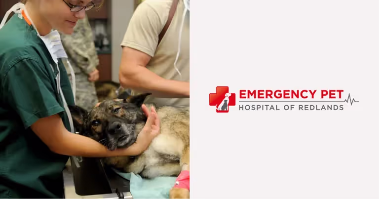 Emergency Pet Hospital of Redlands