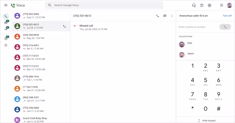 google voice voice calls